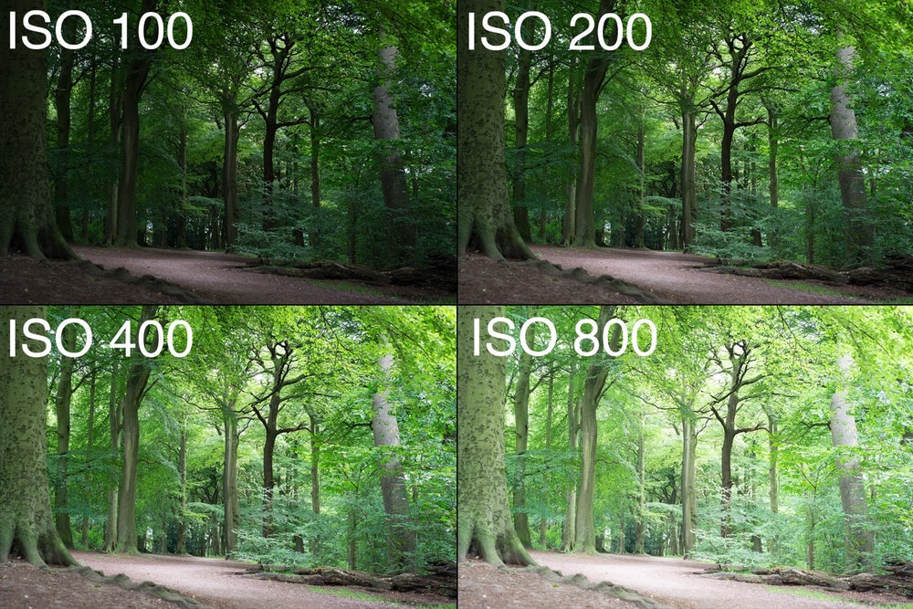 Guide To Iso Photography 3