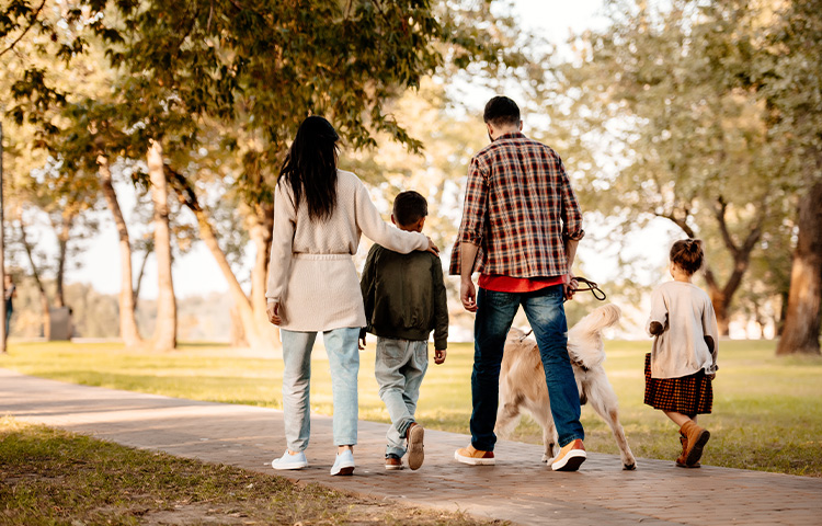 Rear View Shot Of Family With Two Children Walking 2023 11 27 05 13 04 Utc