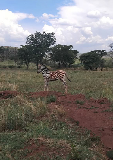 De Voetpadkloof