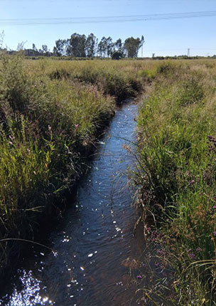 Rietvlei Nature Reserve