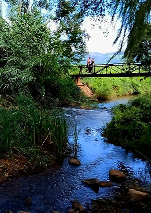 Van Gaalen Mountain Biking and Trail Running